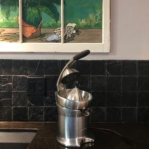 Breville Juicer StainlessSteel parts (gently used)